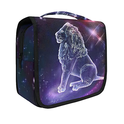 Leo Constellation Space