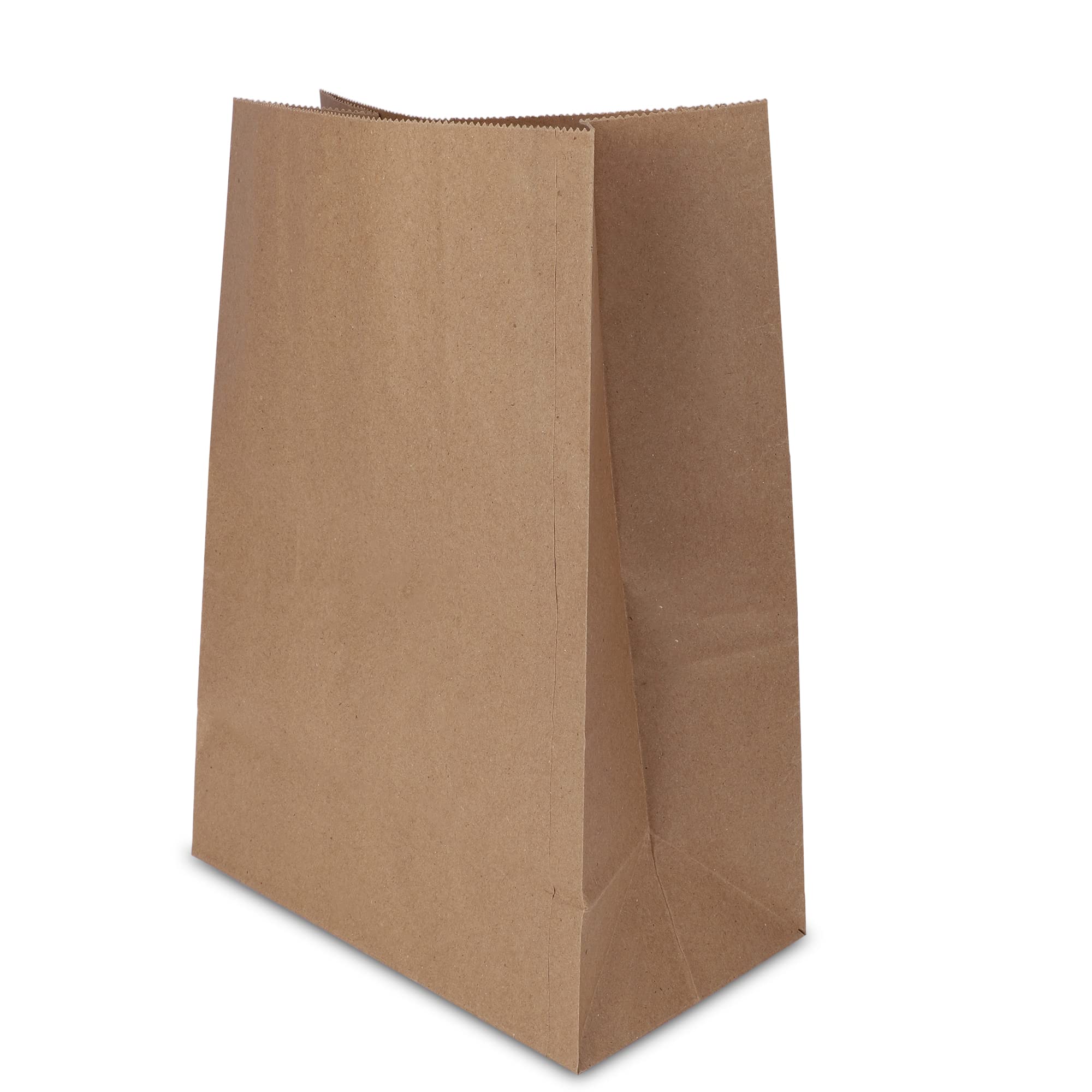 Eco-Friendly Brown Kraft Paper Bags - 10x5x14 Inches, Pack of 15 | Recycled Carry/Gift/Grocery Bags for Shopping, Parties & Sustainable Packaging