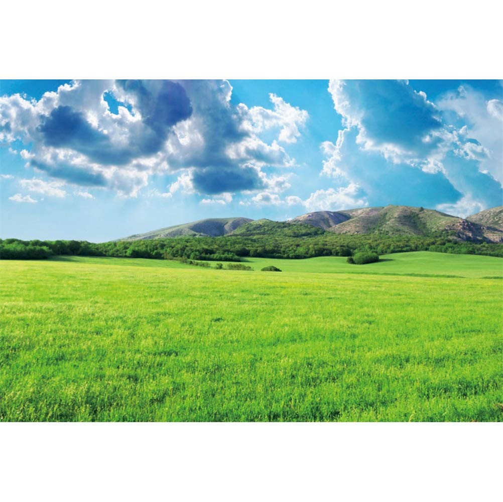 Leowefowa 7x5ft Sunny Meadow Backdrop - Blue Sky White Clouds Green Grassland Photography Background for Studio Photo Booth, Child & Adult Portraits | Nature Landscape Vinyl Wallpaper for Indoor/Outdoor Events, Birthday Parties & Wedding Decor