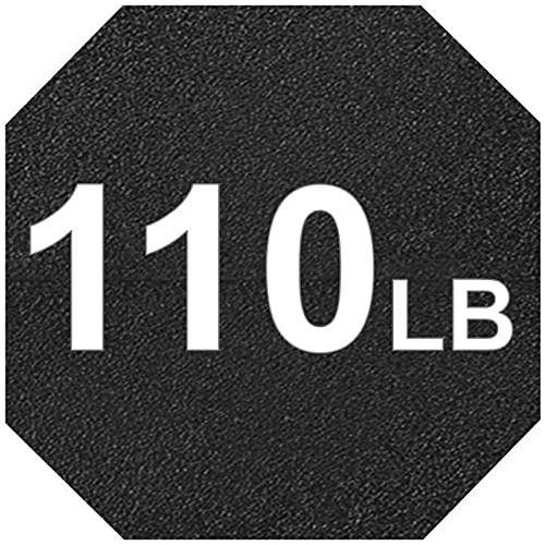 y. 110 LB Pair (2 x 110lb)