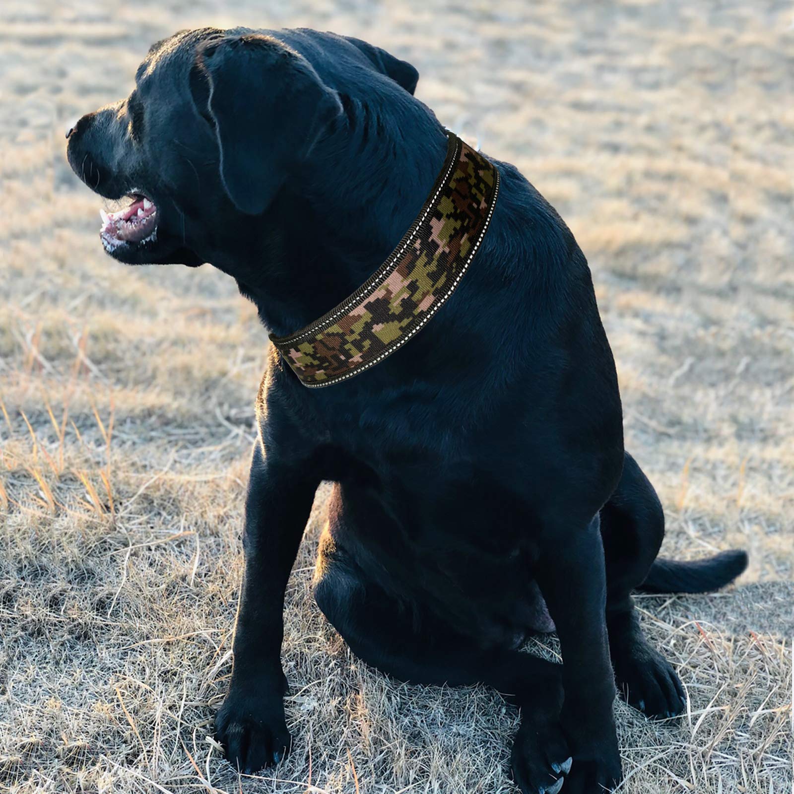 Reflective Adjustable Heavy Duty Padded Dog Collar with Soft Lining - 2