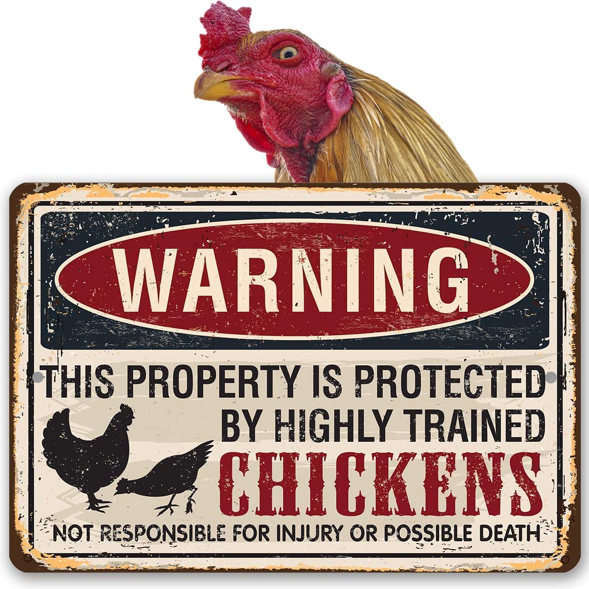 Funny Chicken Coop Sign - Vintage Outdoor Decor for Chicken Owners - Property Protected by Chickens - Indoor/Outdoor Chicken Accessories - Perfect for Farmhouse, Backyard & Kitchen Decor Gifts