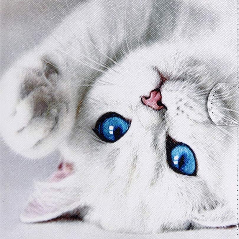 05 Kitten