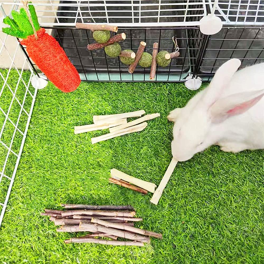 16 PCS Rabbit Chew Toys for Small Pets - Natural Loofah Carrot Dental Toys for Hamsters, Rabbits & Guinea Pigs | Promotes Teeth Health & Digestion | Perfect Small Animal Gifts for Cage Enrichment & Playtime
