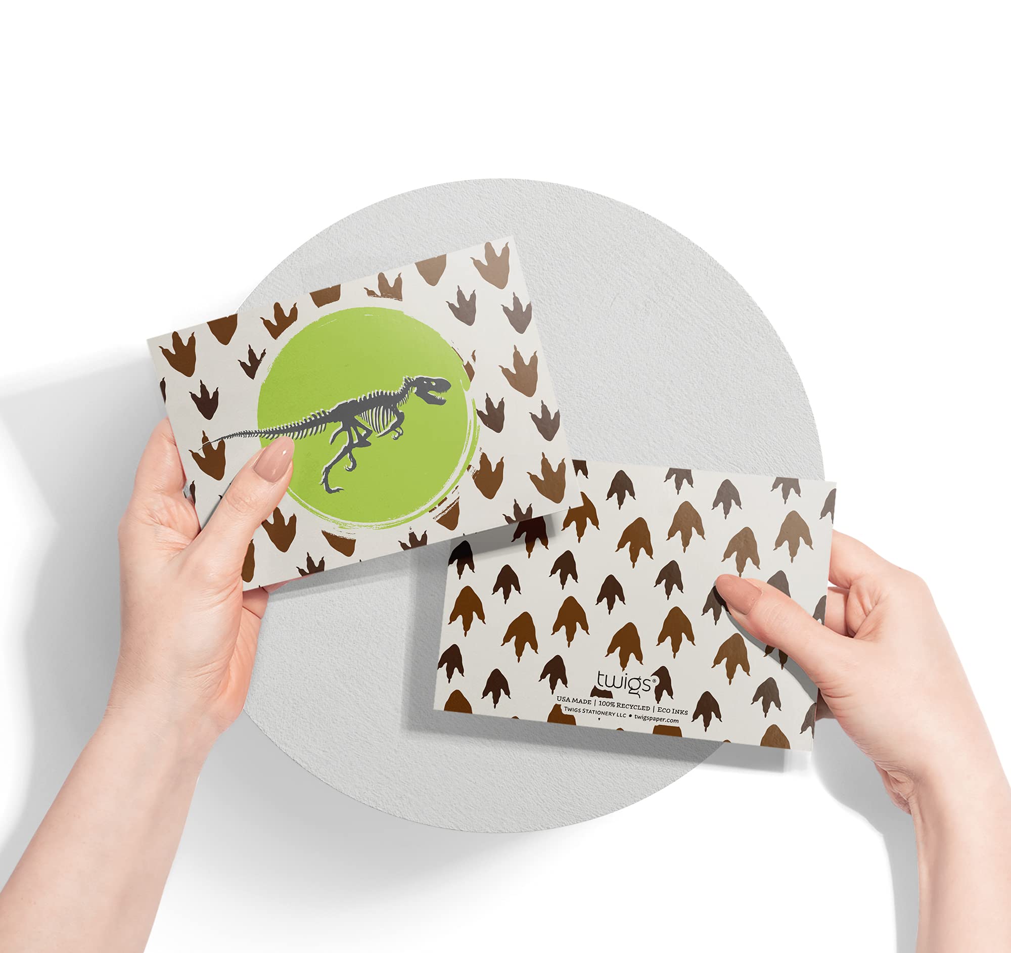Dinosaur Greeting Cards Set of 12 - Blank Note Cards with Envelopes for Thank You Notes & All Occasions - 5.5