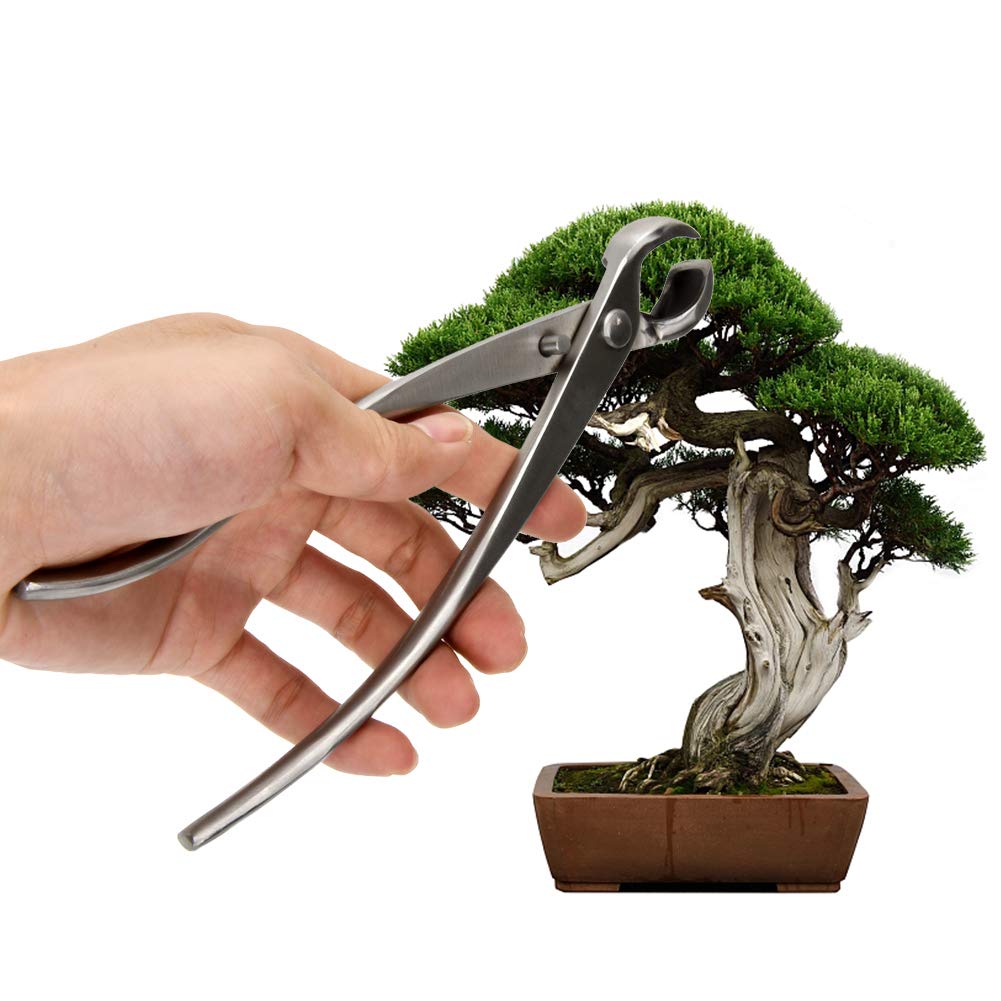 Premium Stainless Steel Bonsai Branch Cutter - 210mm (8.26