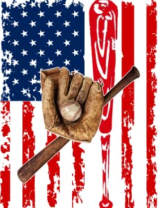 Baseball America Flag1