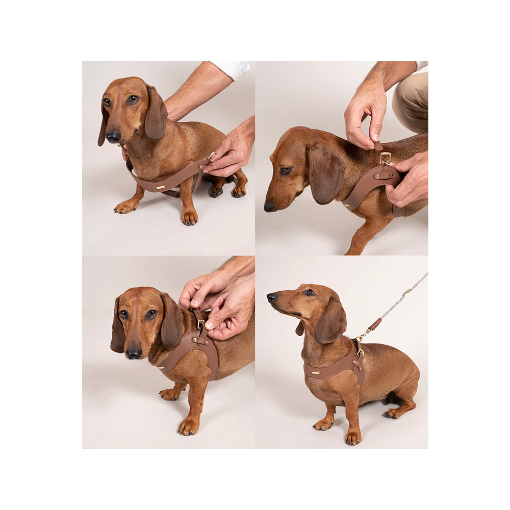 Premium Metro Petite Dog Leather Harness - Adjustable & Comfortable for Small Dogs - Perfect for Walking, Training & Outdoor Adventures