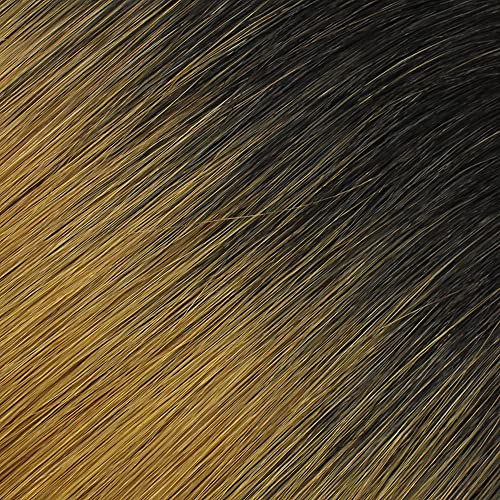 #TT1B/27 - Black to Honey Blonde Ombre