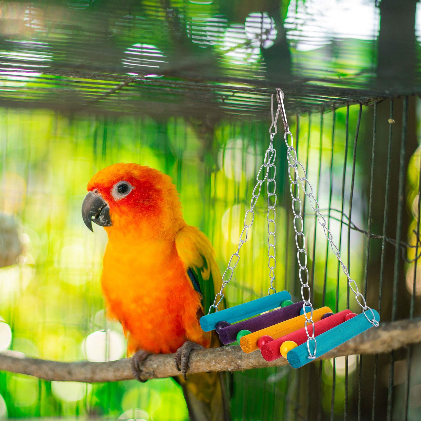 Balacoo 5pcs Natural Wooden Parrot Chew Toys - Hanging Swing & Bird Cage Accessories for Small & Medium Birds | Perfect for Playtime, Exercise & Beak Conditioning