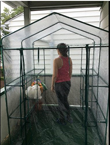 Home-Complete 56 x 56 x 76-Inch Walk-in Greenhouse with 8 Sturdy Shelves & PVC Cover - Indoor/Outdoor Plant Growing Tent for Herbs, Vegetables & Flowers - Perfect for Backyard Gardening, Urban Farming & Winter Plant Protection