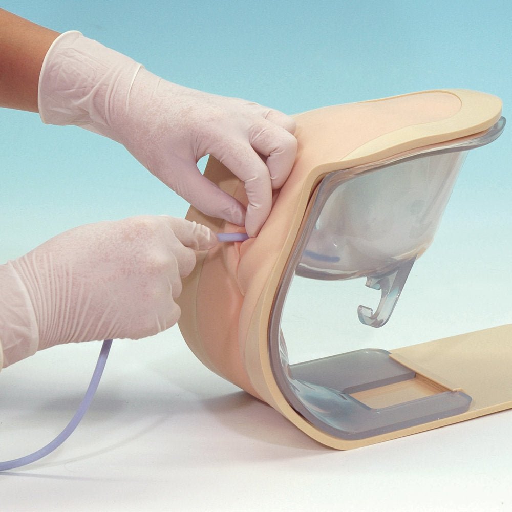 Female Catheterization & Enema Training Simulator - Medical Practice Model for Nursing Students & Healthcare Professionals - Perfect for Clinical Skills Training & Patient Care Education