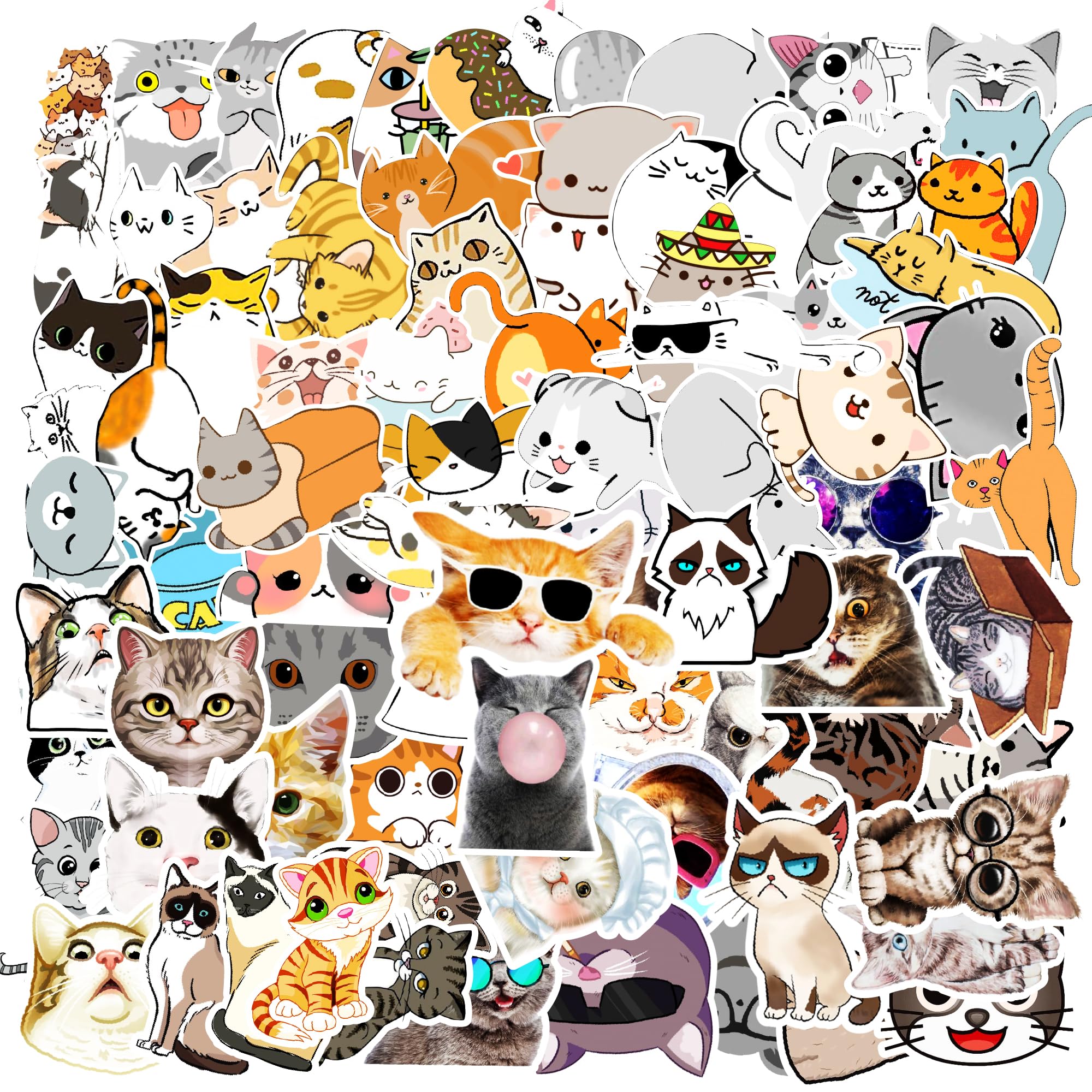 100 Pcs Funny Cat Meme Vinyl Stickers - Waterproof Cute Cat Decals for Laptops, Water Bottles & DIY Crafts - Perfect for Teens & Adults