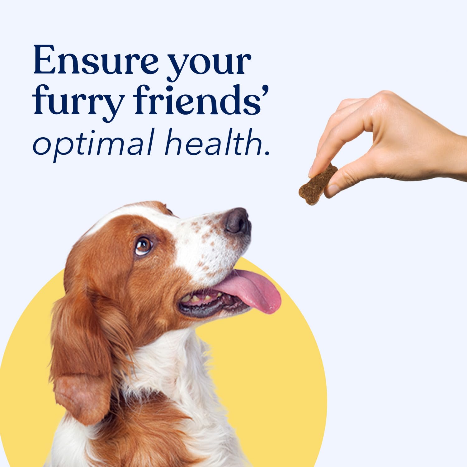 **Honest Paws Dog Multivitamin Soft Chews for Joint Health & Mobility - Glucosamine, Chondroitin & Omega-3 - Supports Healthy Coat, Immune System, Heart & Eyes - Beef Flavor - Perfect for Active & Senior Dogs**