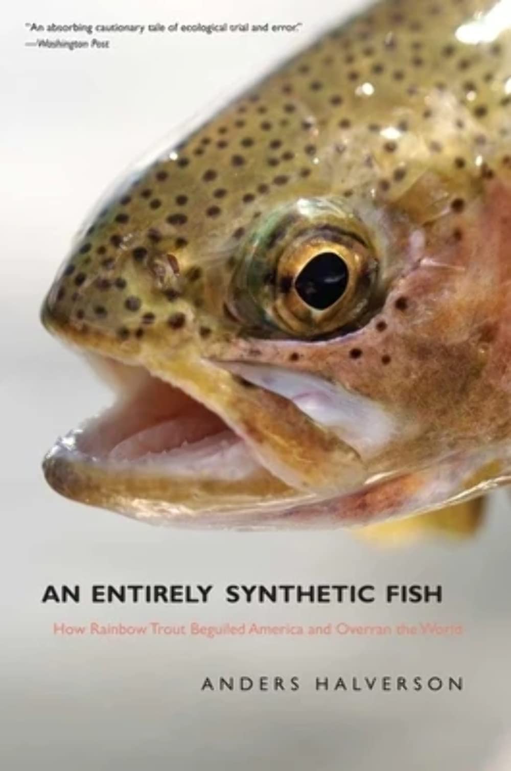 An Entirely Synthetic Fish: How Rainbow Trout Conquered America and the World | Ecological Impact & Fishing History