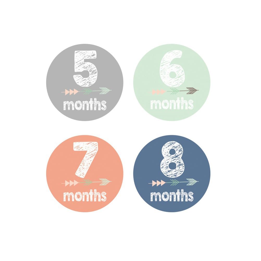 NUOBESTY 12-Piece Baby Monthly Milestone Stickers Set for Boys & Girls - Perfect for 1-12 Month Photo Shoots, Baby Showers & First Birthday Decorations