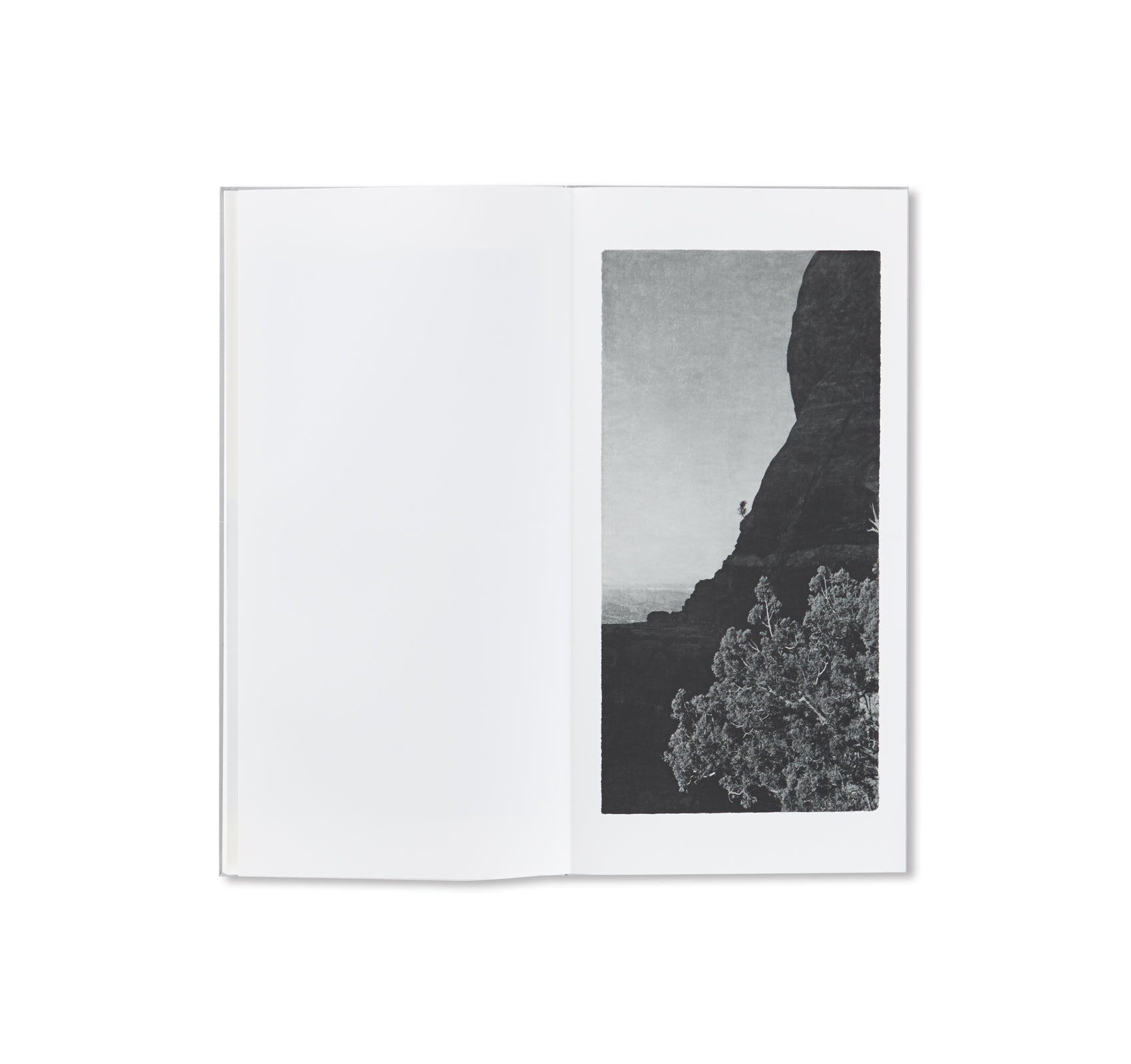 OPENING by Jungjin Lee - Stunning Art Book for Home Decor, Office Display & Gift Ideas | Explore Contemporary Photography & Unique Aesthetic