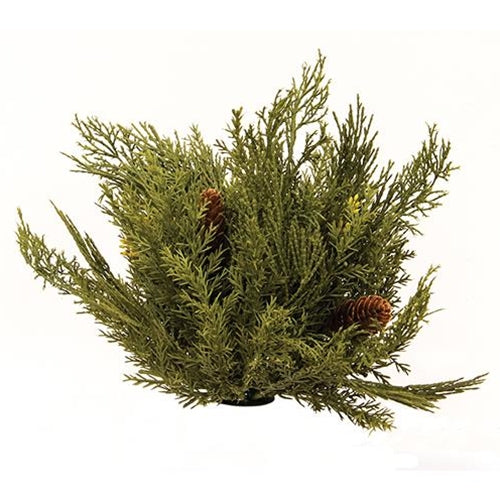 Premium Alpine Cedar Half Sphere - 11 Inch Natural Wood Home Decor for Aromatherapy, Rustic Wedding Centerpiece & Zen Garden Decor