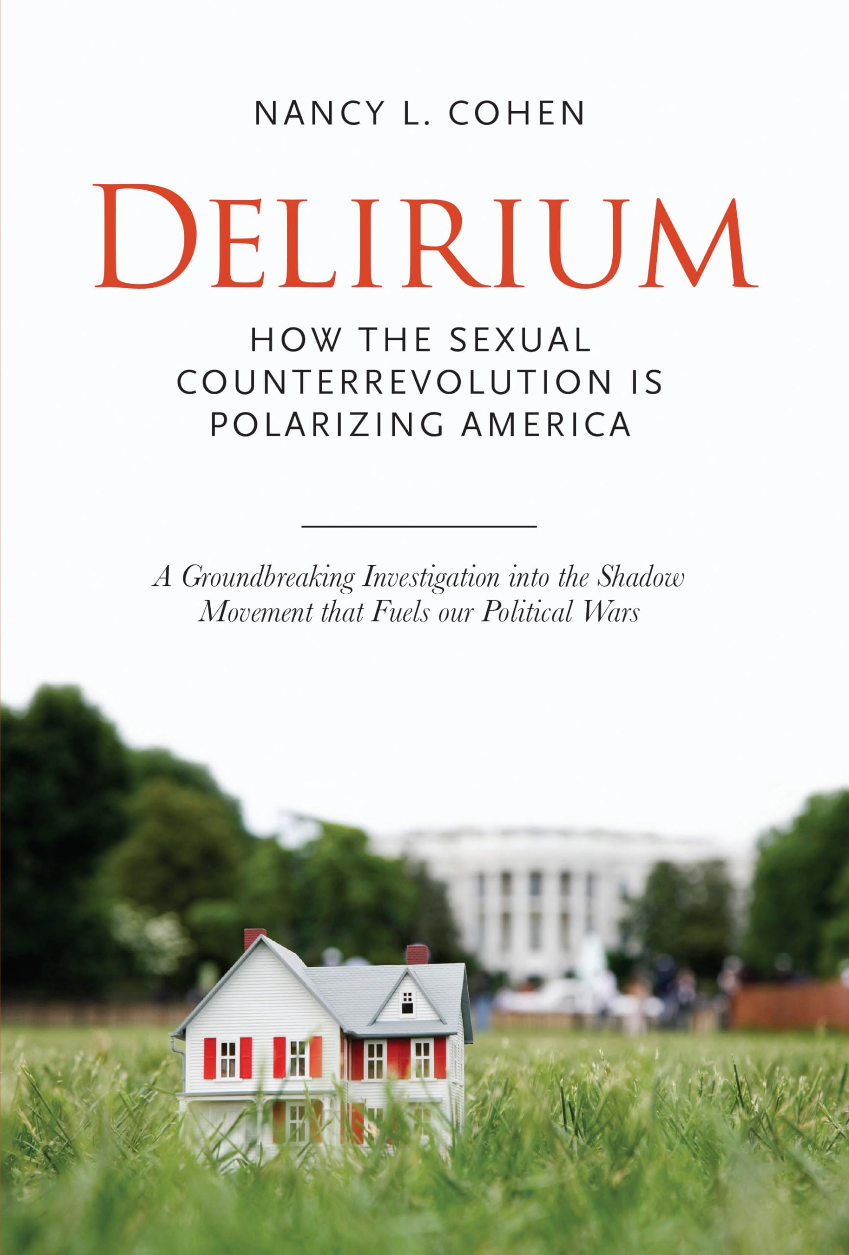 Delirium: The Politics of Sex in America - Gender Studies Book on US Sexual Politics & Social Issues - Perfect for Political Science Students & Social Activists