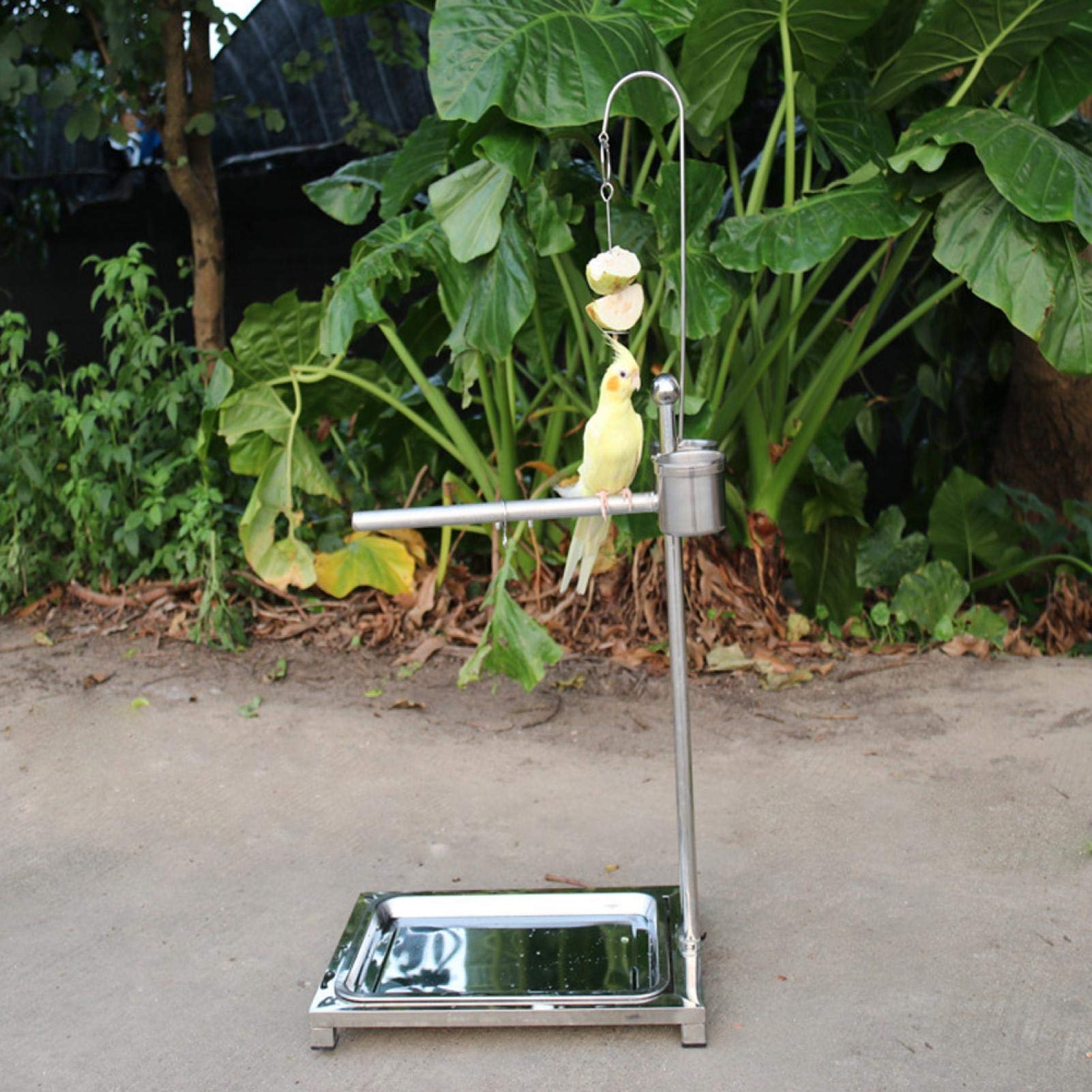 EVTSCAN Stainless Steel Bird Stand for Parrots - Training Perch with 2 Food Bowls (44 x 33 x 60cm) | Durable Bird Play Gym for Cockatiels, Macaws & Pet Birds | Perfect for Training, Feeding & Playtime at Home
