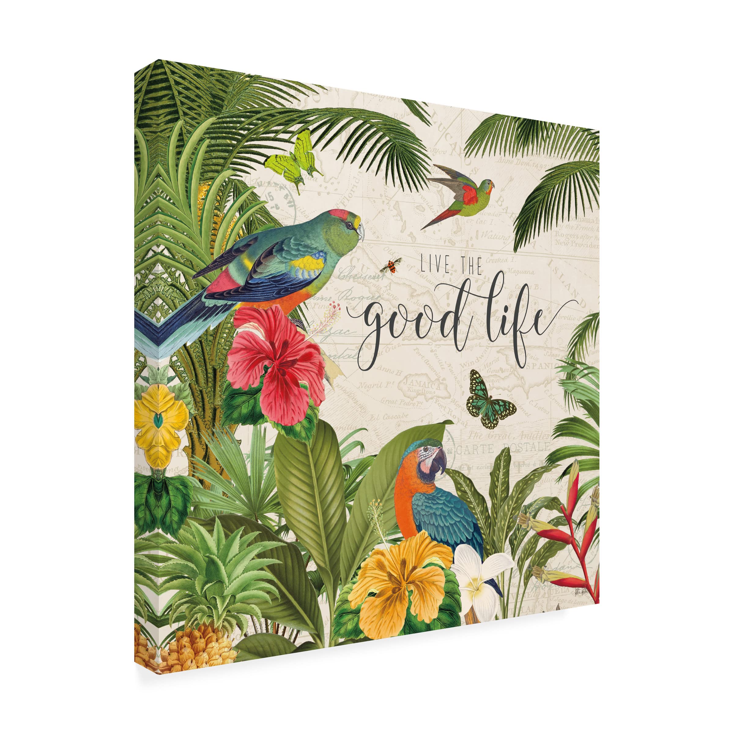 Katie Pertiet 'Parrot Paradise IV' Canvas Wall Art - Tropical Bird Painting for Living Room, Bedroom & Office Decor