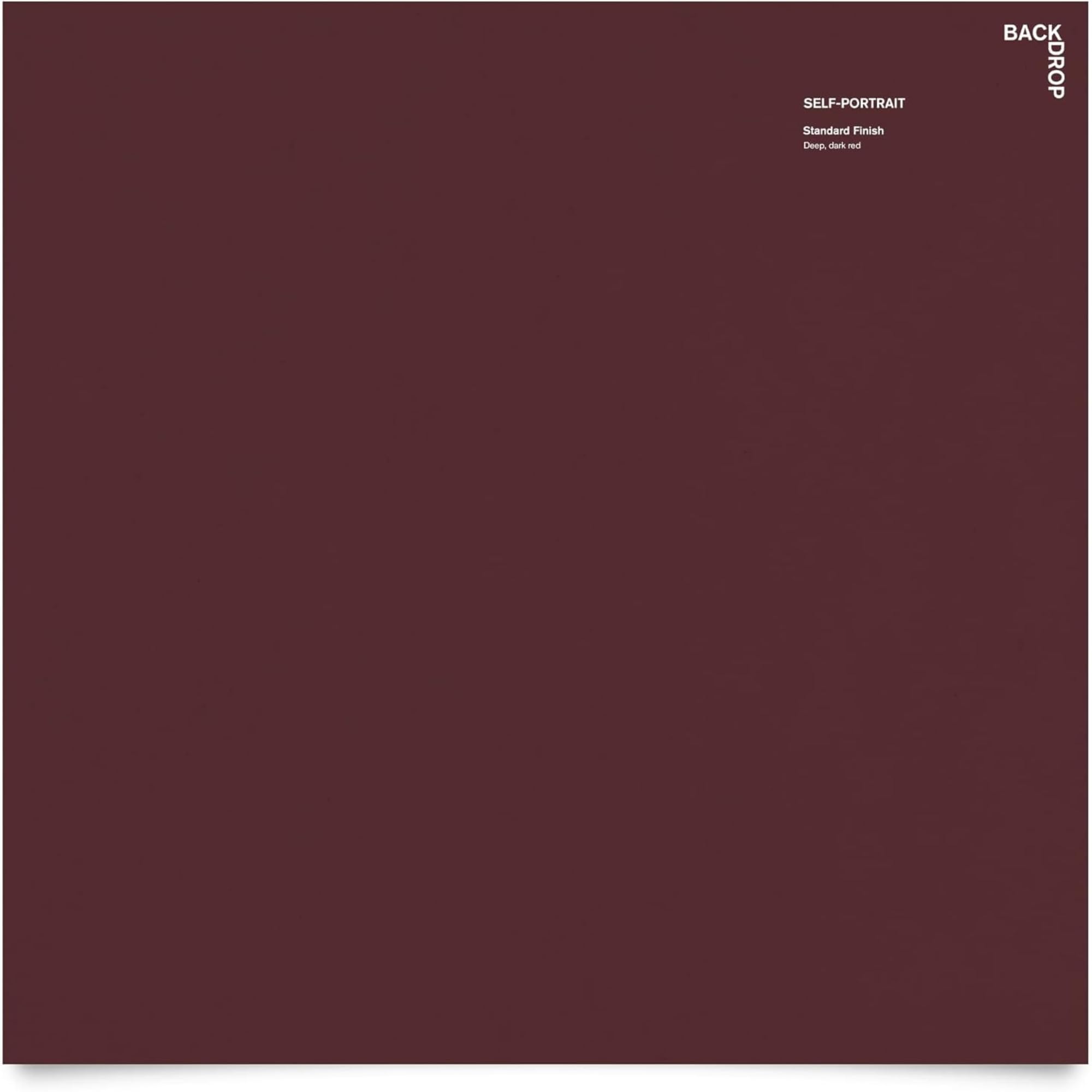 Premium Self-Portrait Deep Dark Red Interior Paint - Large 12