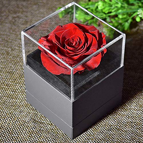 Personalized USB Cable Clip Label - Custom Name Cable Organizer for iPhone & Android Chargers - Eternal Preserved Real Rose Gift Box - Perfect for Valentine's Day, Anniversary & Romantic Gifts for Couples