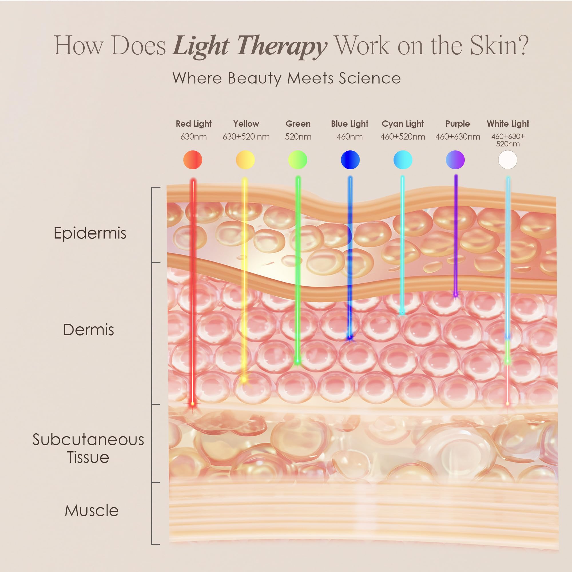 Project E Beauty LightAura LED Face Mask - 7 Color Light Therapy for Anti-Aging, Skin Tightening & Wrinkle Reduction | Brightens Skin, Boosts Collagen & Calms Inflammation | At-Home Facial Skincare Treatment for Spa-Like Results