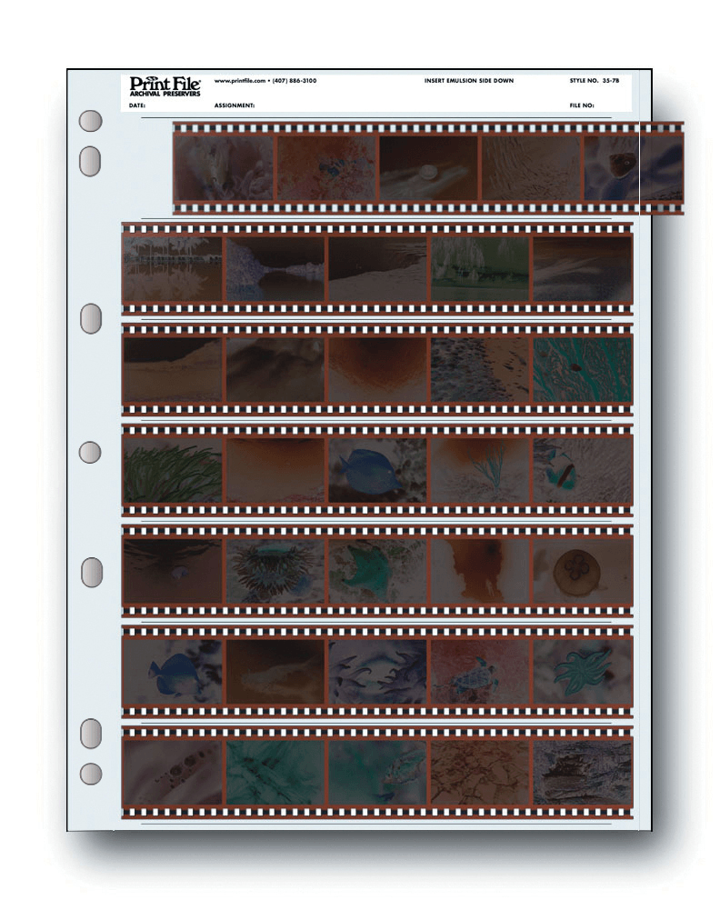 Dotline Print File Archival Preservers - 35mm Negative Sleeves (5 Frames, 7 Strips, Pack of 25) - Perfect for Photo Storage, Film Archiving & Organizing 35mm Negatives