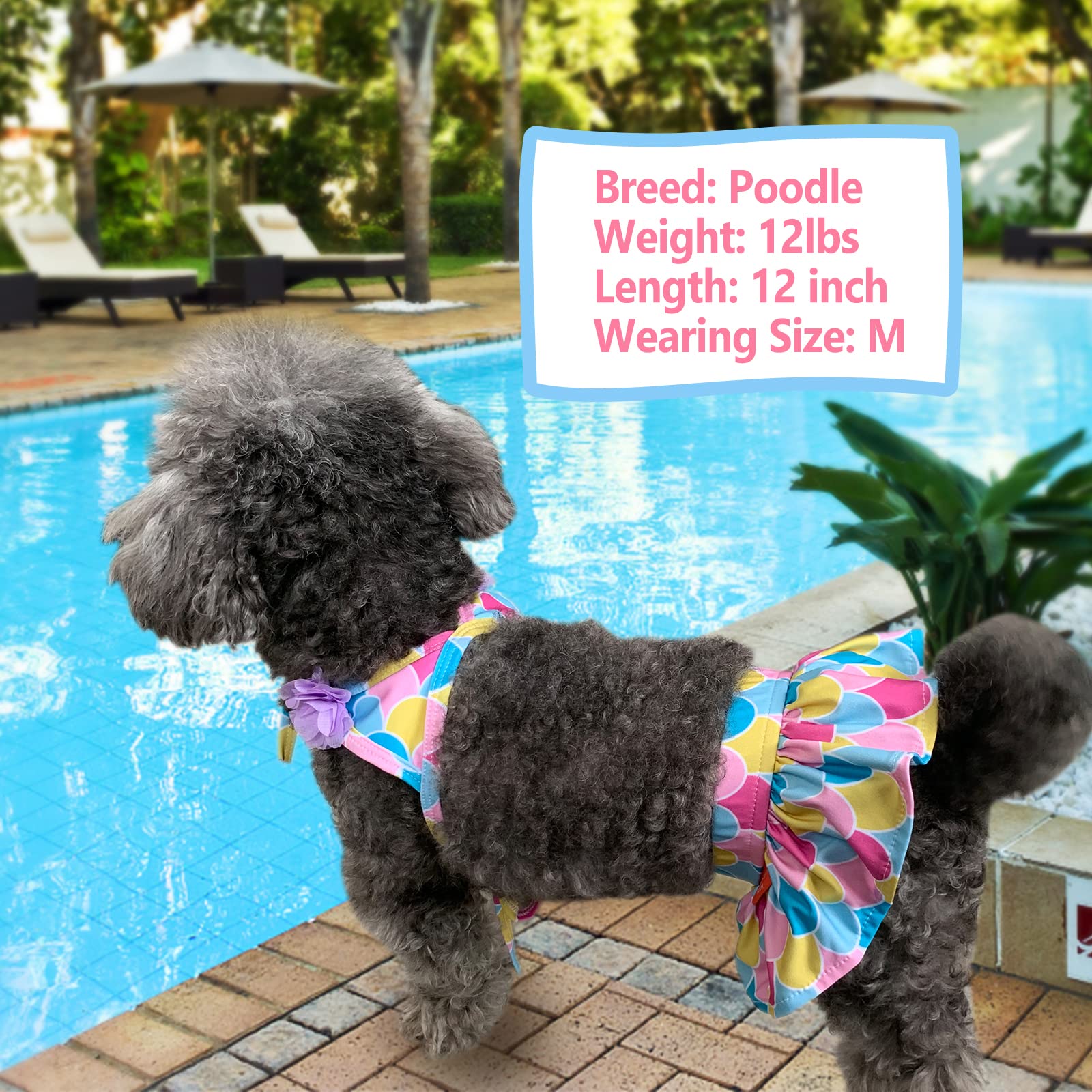 KYEESE Mermaid Dog Bikini Swimsuit for Small Dogs - Summer Beach Tutu Dress Bathing Suit Pet Clothes, Size Medium - Perfect for Pool Parties & Beach Outings