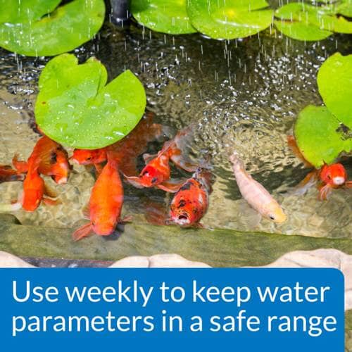 API Pond Master Liquid Test Kit for Water Quality - Accurate pH, Ammonia, Nitrite, Nitrate Testing for Ponds & Water Gardens | Ideal for Koi, Goldfish & Aquatic Plants