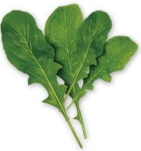 2000 Arugula Eruca Vesicaria Sativa Seeds - Fast Growing Salad Greens for Home Garden, Microgreens & Container Planting | Perfect for Fresh Salads, Sandwiches & Gourmet Dishes