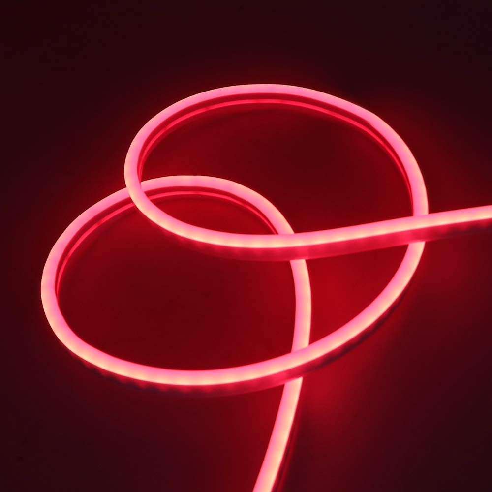 XUNATA 9.9ft Waterproof Red LED Neon Rope Light - 360 SMD 2835 LEDs, 12V DC Flexible Neon Tube for Outdoor Garden, Patio, Party & Holiday Decorations - Perfect for Christmas, Thanksgiving, Halloween & Birthday Celebrations