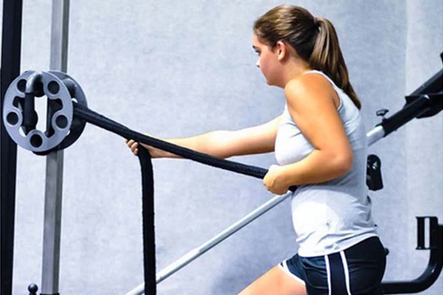Ropeflex RX550 Rope Trainer Attachment - Premium Fitness Equipment for Cross Training, Strength & Endurance | Perfect for Home Gym, Outdoor Workouts & Functional Training