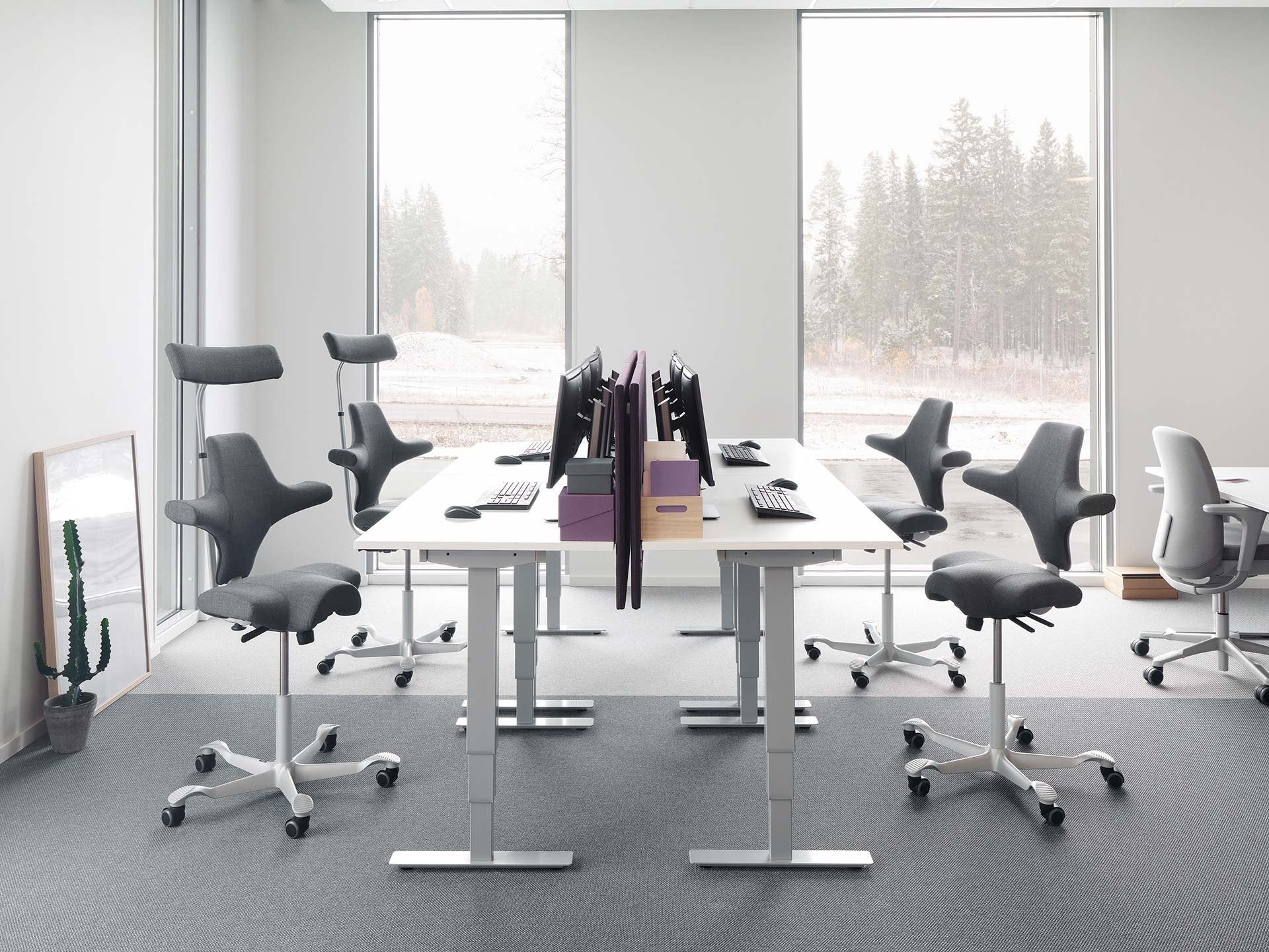 HÅG Capisco 8106 Ergonomic Office Chair - Adjustable White Metal Frame with Light Grey Gabriel Cura CU60110 Fabric - Perfect for Home Office, Coworking Spaces & Modern Workstations