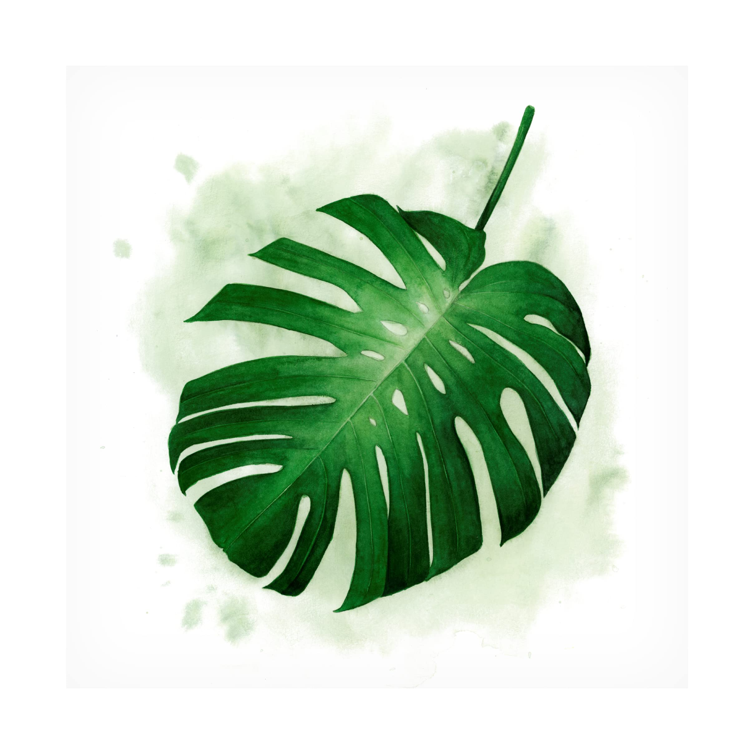Grace Popp 'Palm Wash II' Canvas Wall Art Print - Modern Tropical Beach Decor for Living Room, Bedroom & Office - Trademark Fine Art Collection