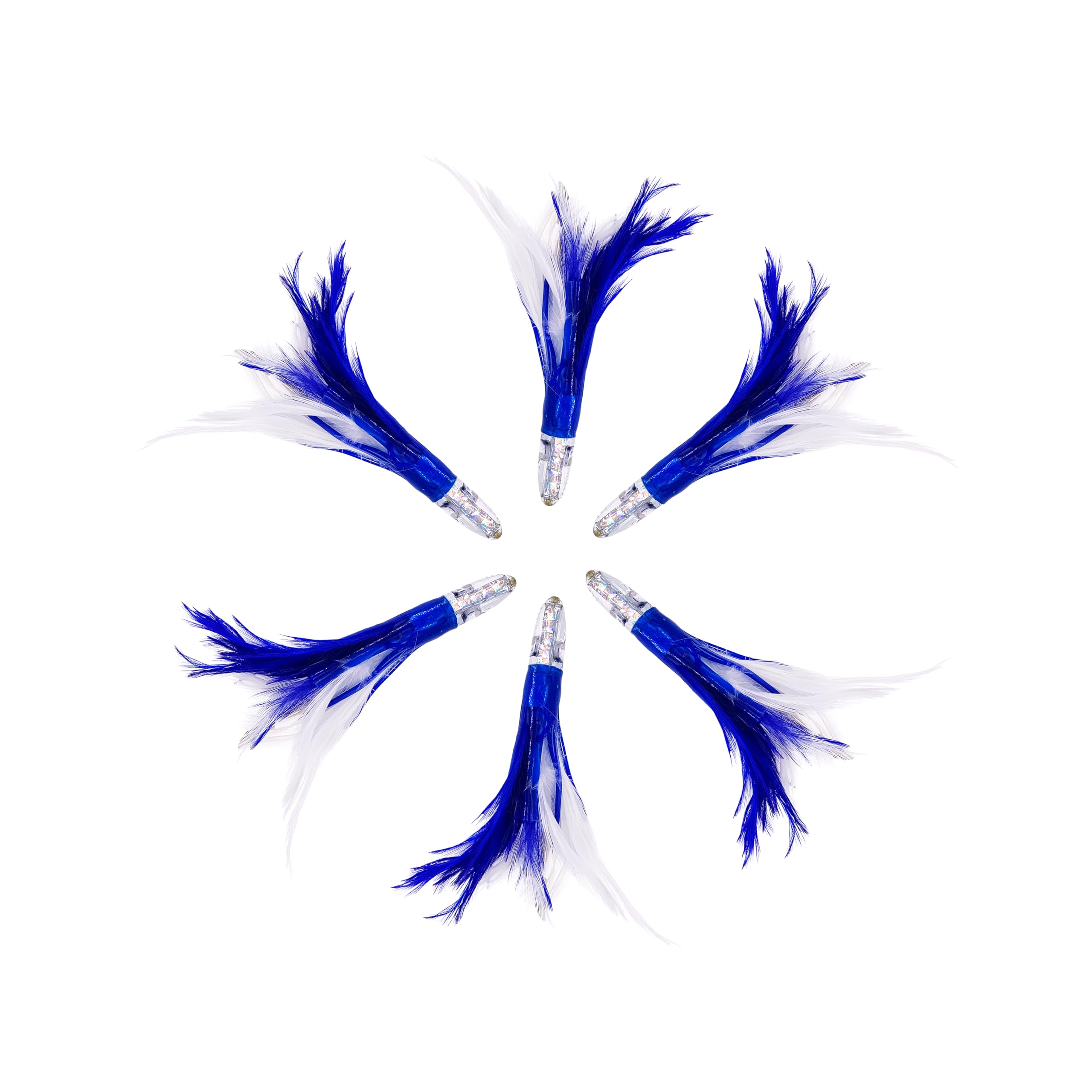 6