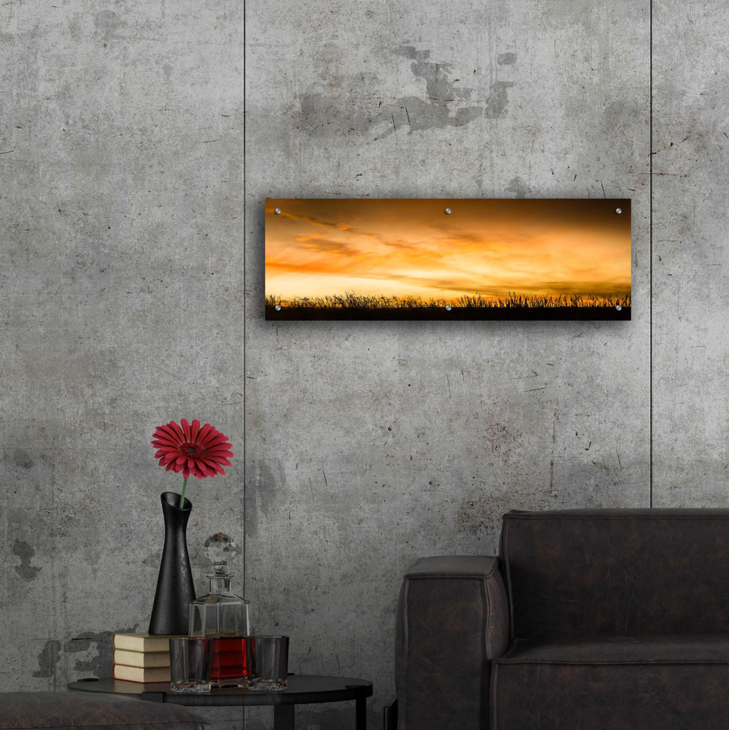 Pastoral Sunrise Acrylic Glass Wall Art by Don Schwartz - 36x12 Inches Modern Landscape Painting for Living Room, Bedroom & Office Decor