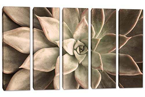 5 Panel