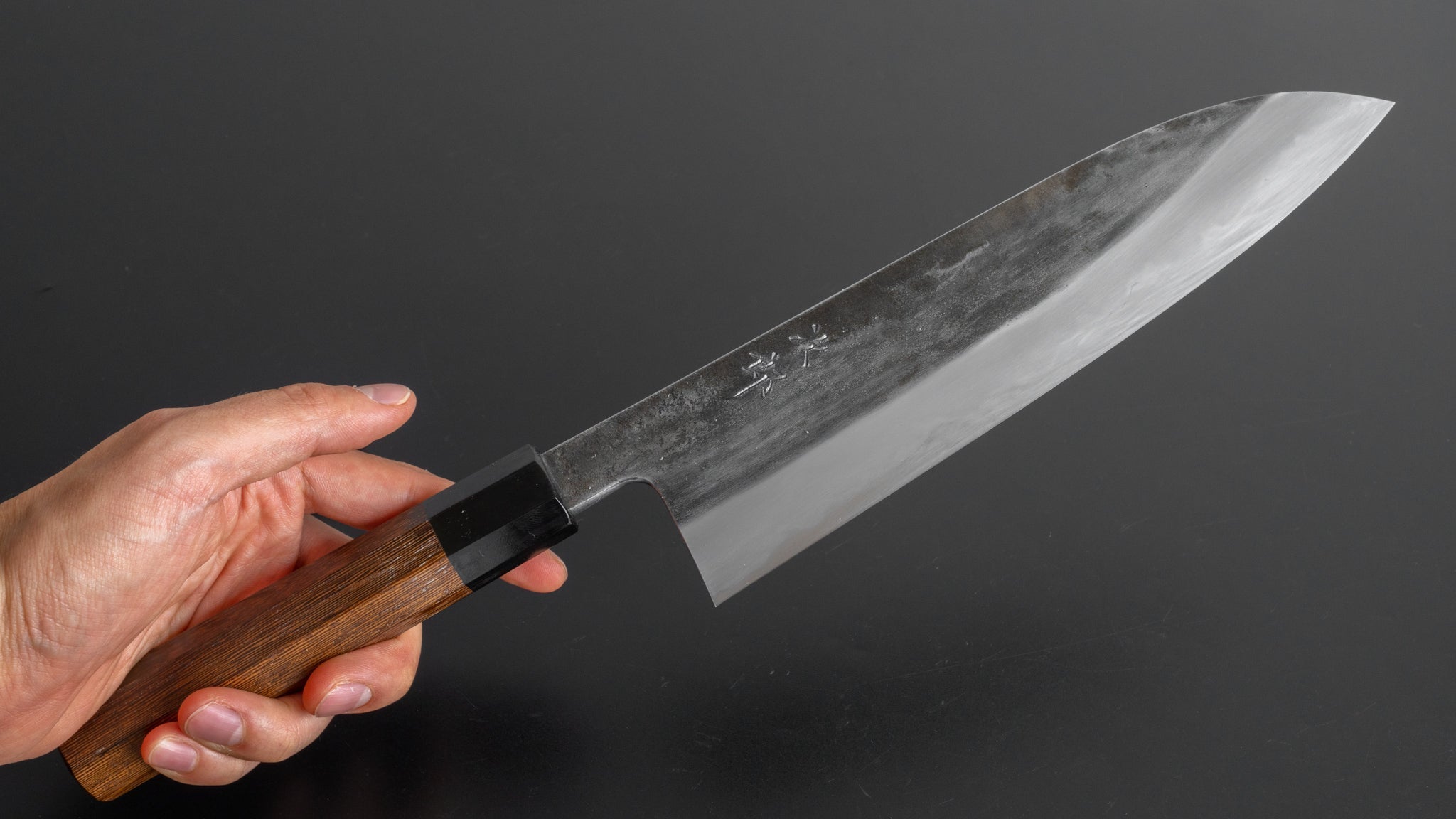 Premium Jiro Tsuchime Wa Gyuto 210mm Japanese Chef Knife with Taihei Tagayasan Handle - Perfect for Sushi, Sashimi & Precision Cutting