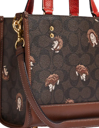 Coach Dempsey Tote 22