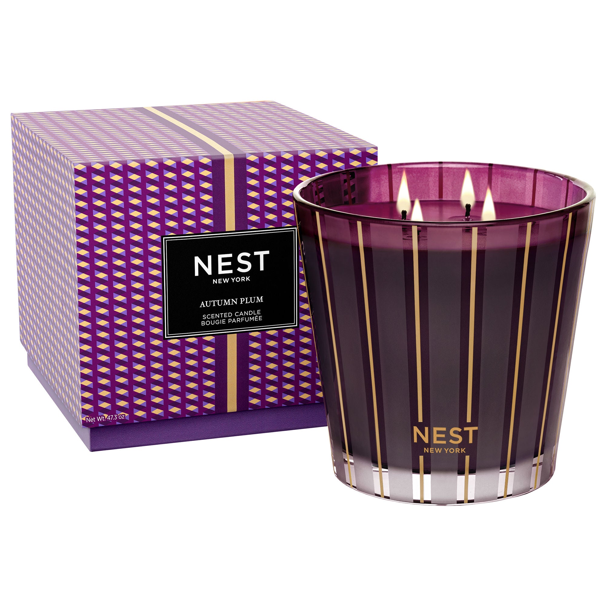 Autumn Plum Scented Soy Candle - Handmade Natural Soy Wax Candle with Long Lasting Fragrance - Perfect for Fall Home Decor, Relaxation & Gifts