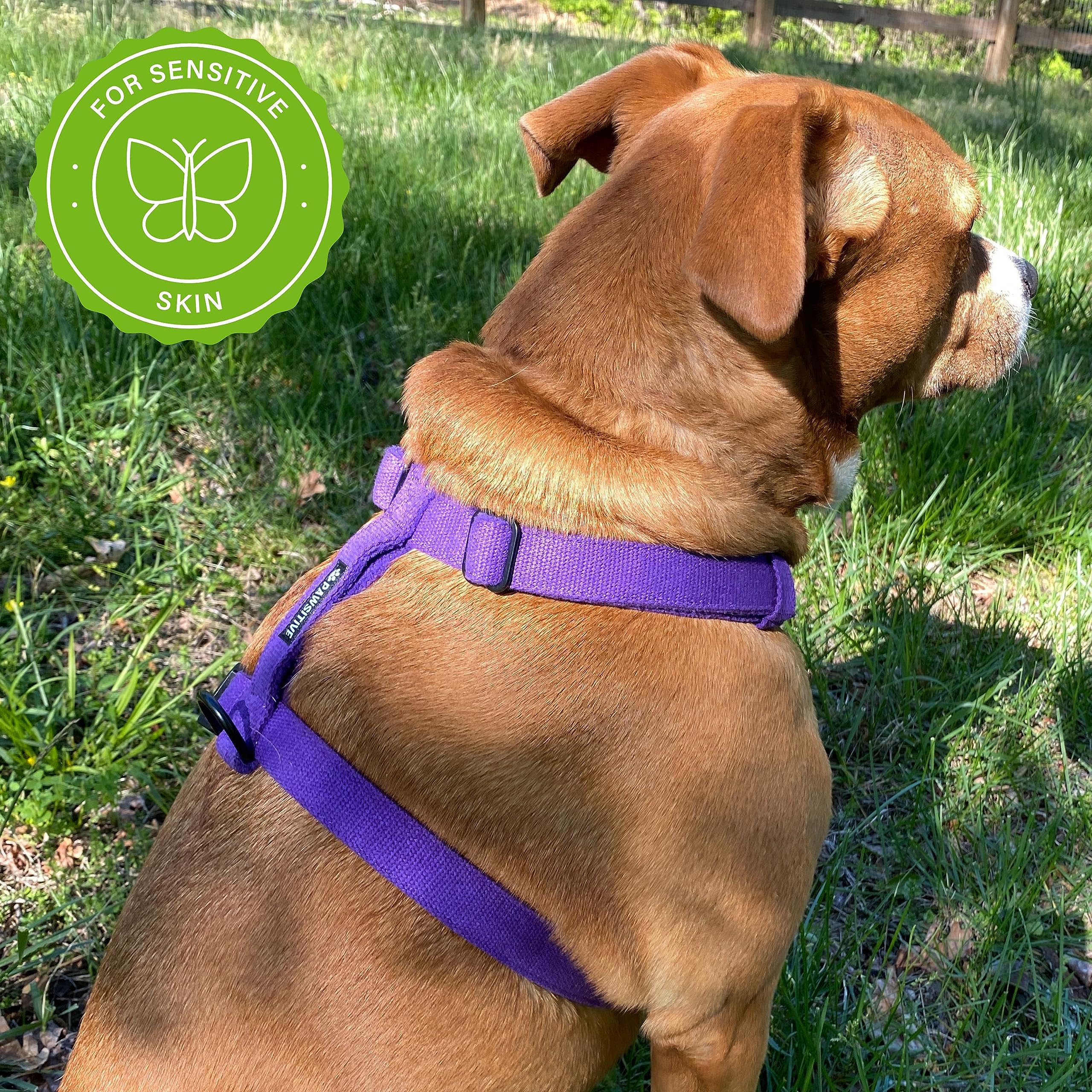 Pawsitive Dog Harness - Adjustable Soft Hypoallergenic Organic Hemp Vest for Small Medium Large Dogs | Puppy Harness for Walking Training & Outdoor Adventures (Small, Pink)