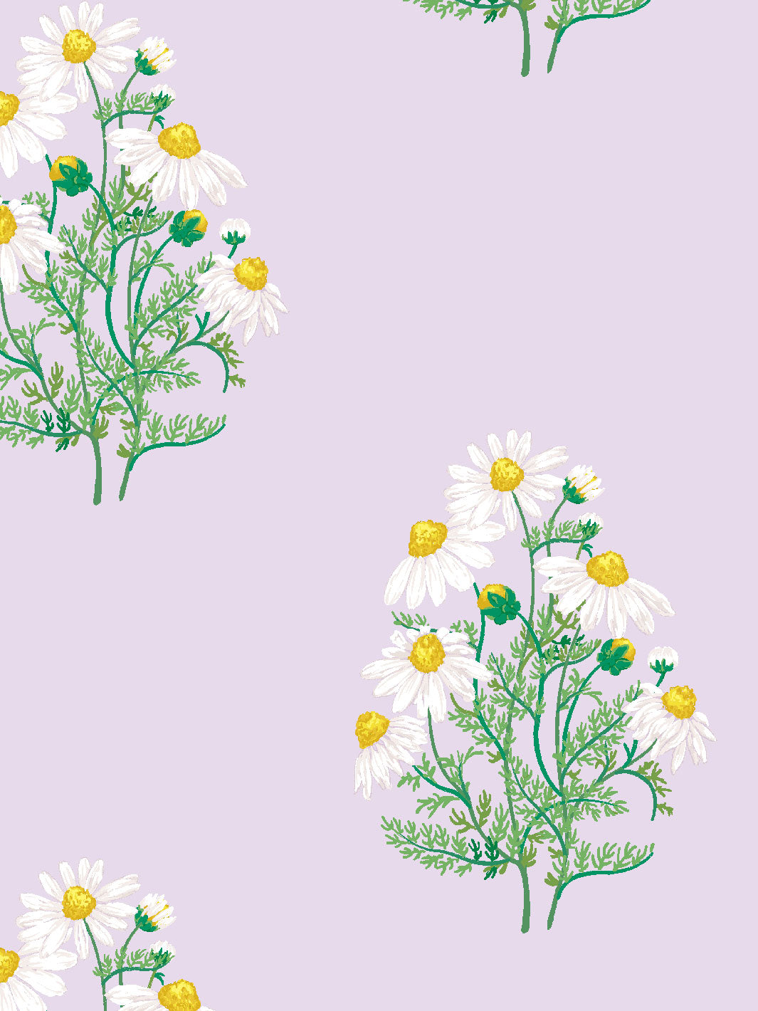 Sarah Jessica Parker Fleur De Camomille Lavender Wallpaper - Elegant Floral Peel and Stick Wallpaper for Bedroom, Nursery & Home Decor