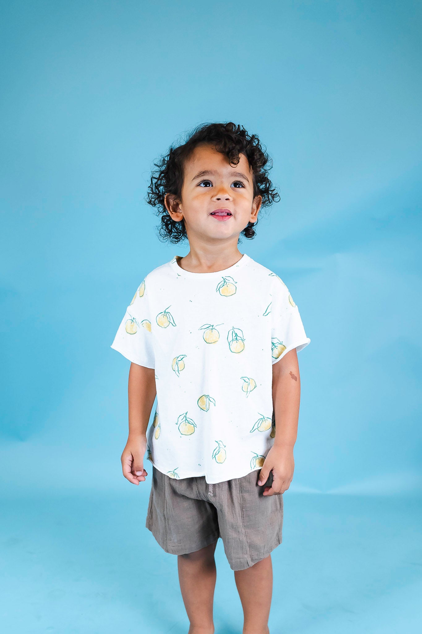 Stylish Fruit Printed Jersey Tee for Toddler Boys - Soft Cotton Comfort - Perfect for Playdates & Family Outings
