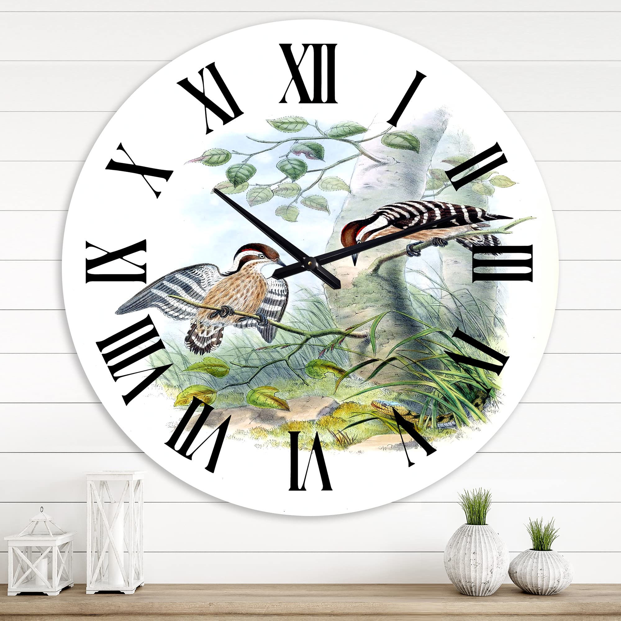 Vintage Birds in The Wild Wall Clock - Large Traditional Animal Design for Kitchen, Living Room, Bedroom Decor | Silent Non-Ticking Battery Operated Clock for Home & Office Use
