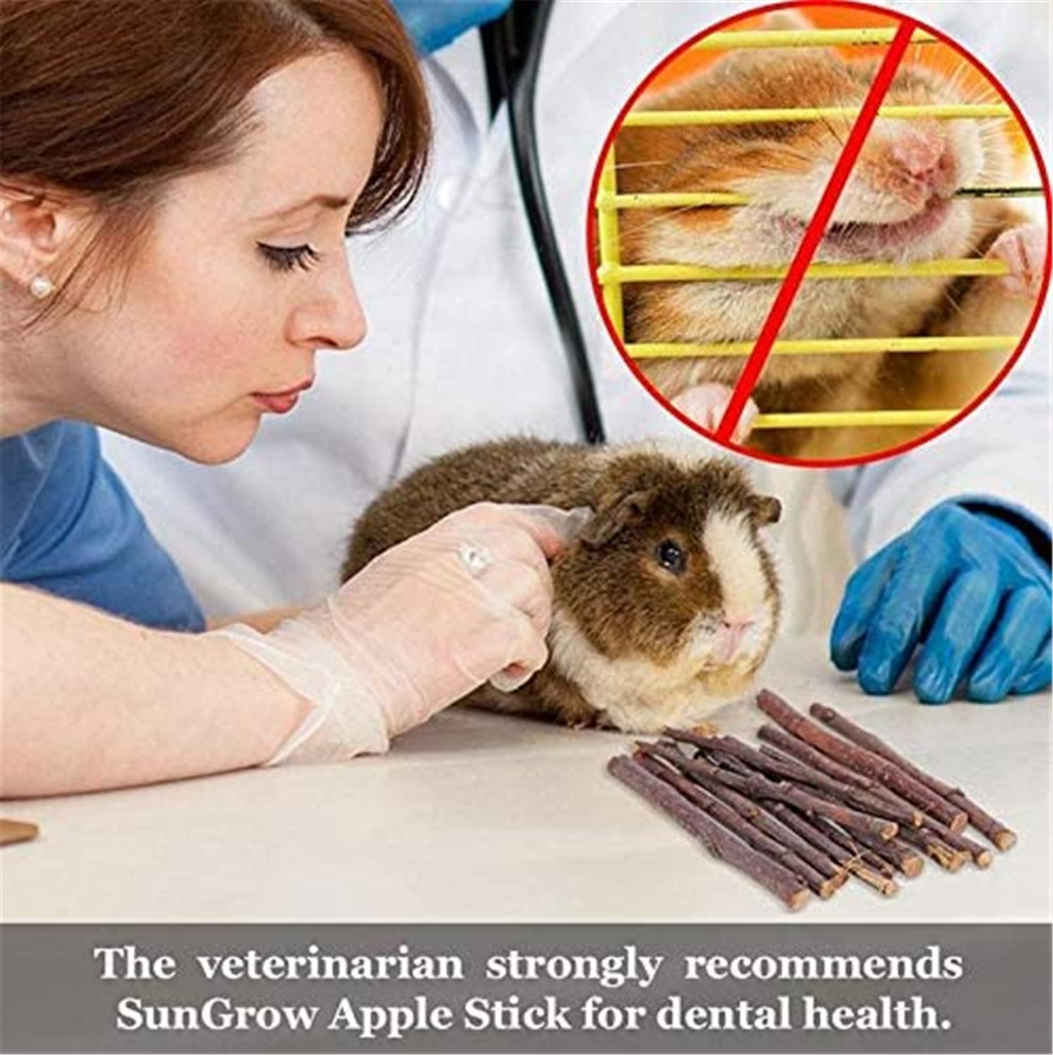 Natural Timothy Hay Sticks & Apple Wood Chews for Rabbits, Guinea Pigs, Chinchillas - Healthy Teeth Chewing Toys for Small Pets - Perfect for Cage Enrichment and Dental Care