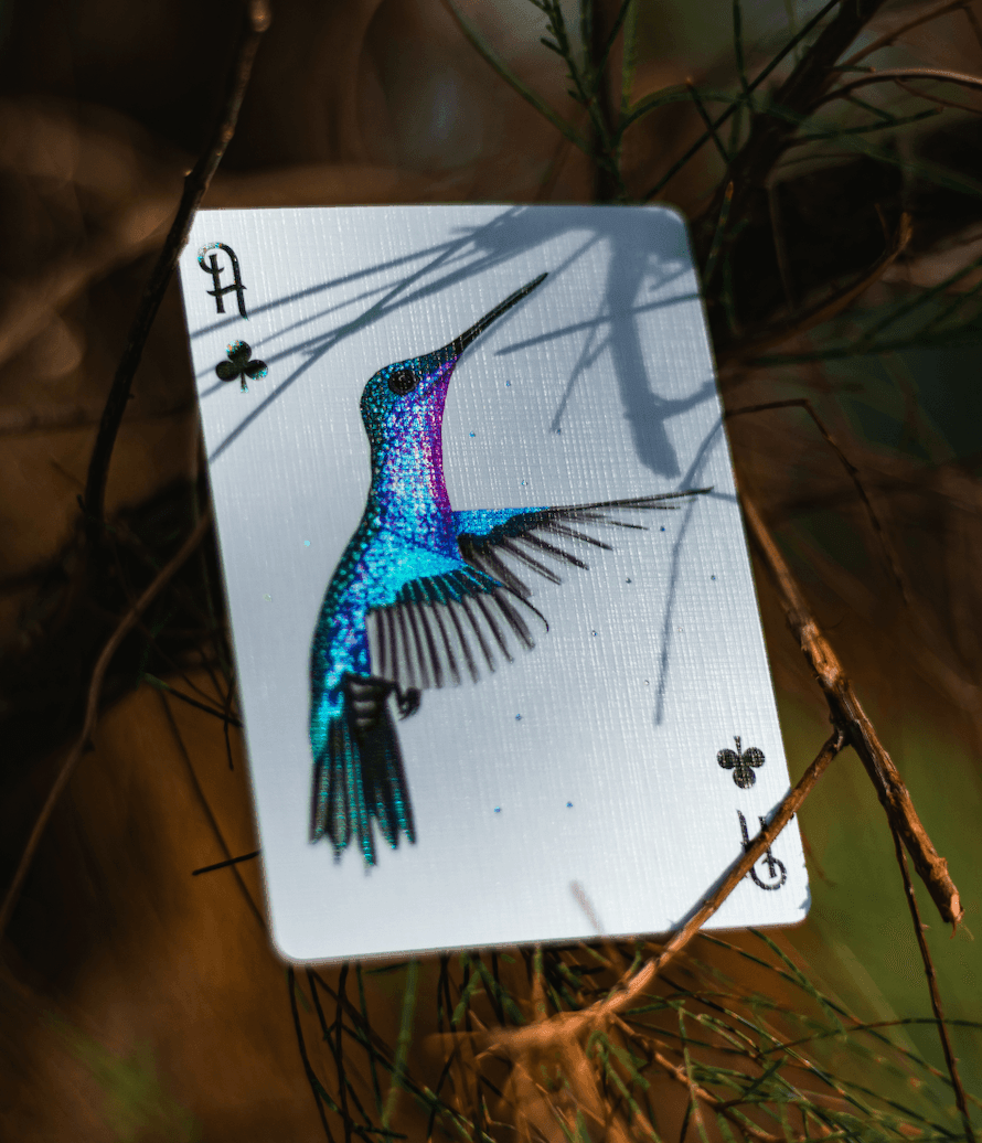 Premium Red Marvelous Hummingbird Feathers Playing Cards - Elegant Deck for Poker, Magic Tricks & Collectors | Perfect for Game Nights, Gifts & Cardistry