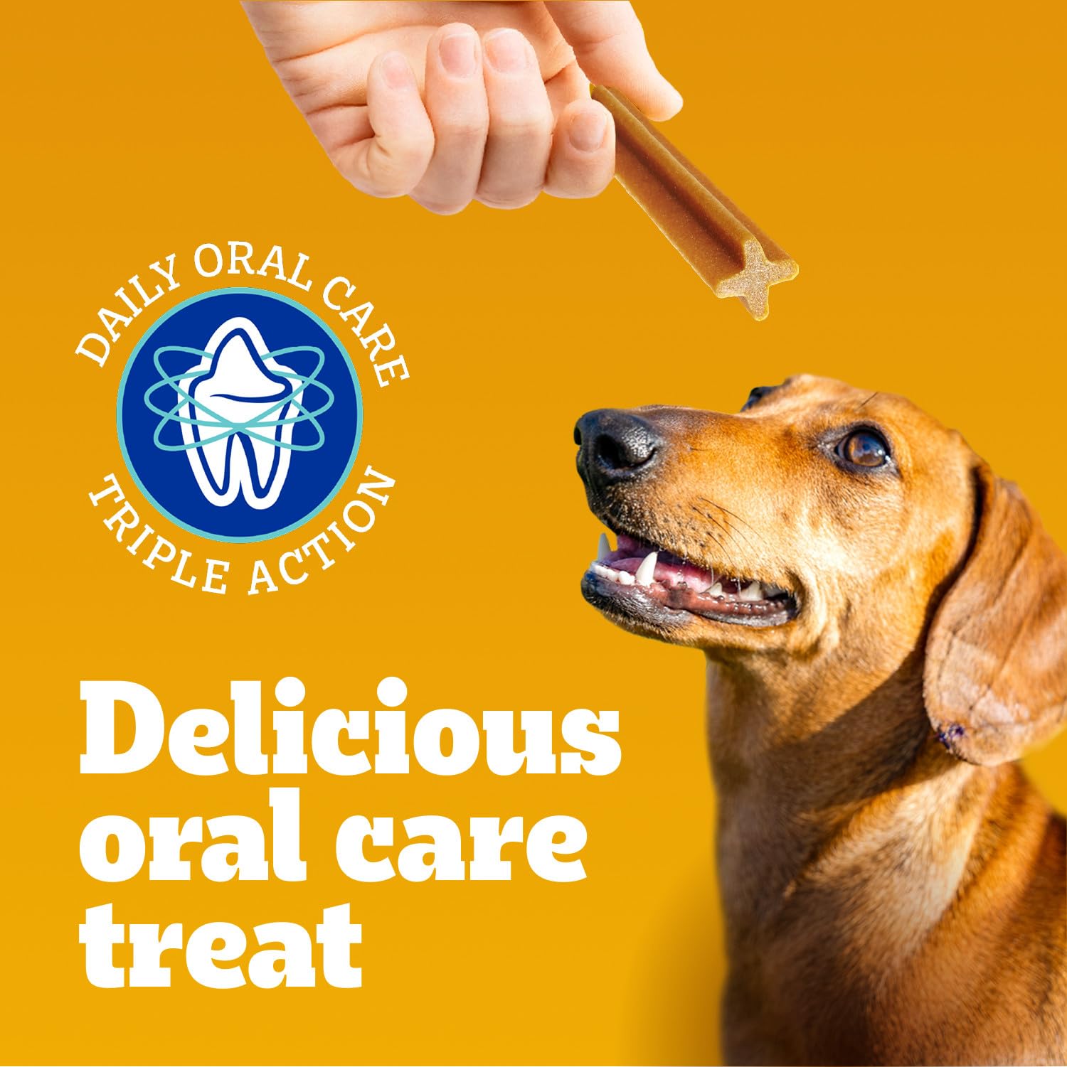 PEDIGREE DENTASTIX Dental Chews for Small Adult Dogs - Original Flavor, 55 Count - Promotes Oral Health & Fresh Breath for Daily Teeth Cleaning Routine