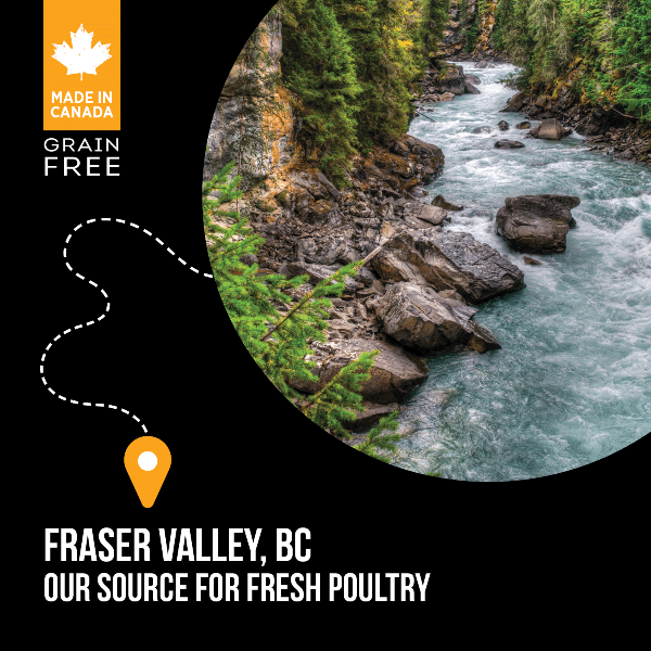 Nutrience SubZero Fraser Valley High Protein Dry Cat Food - Grain-Free, Natural Ingredients for Adult Cats - Perfect for Indoor & Outdoor Felines